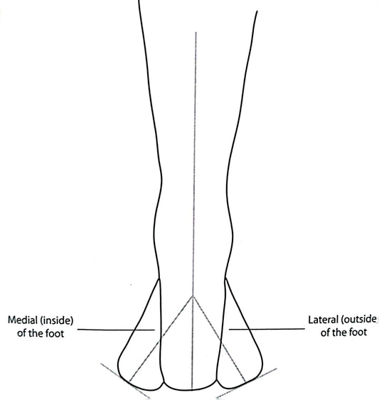 what is the body's midline ?