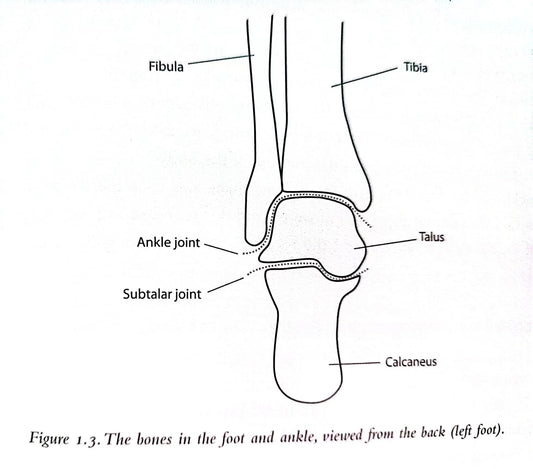 what are the best for plantar fascitis