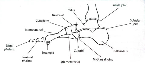 Can Foot Deformities Be Corrected Without Surgery? Foot Biomechanics Explained